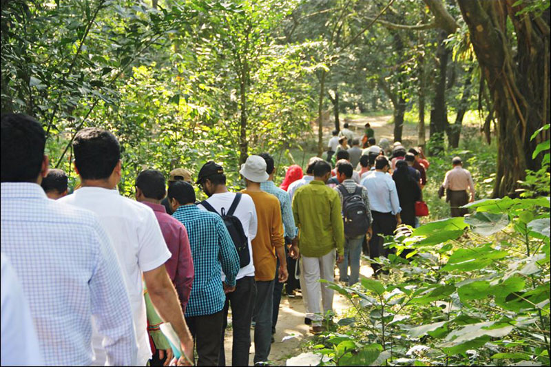 Tree plantation in Dhaka, Bangladesh